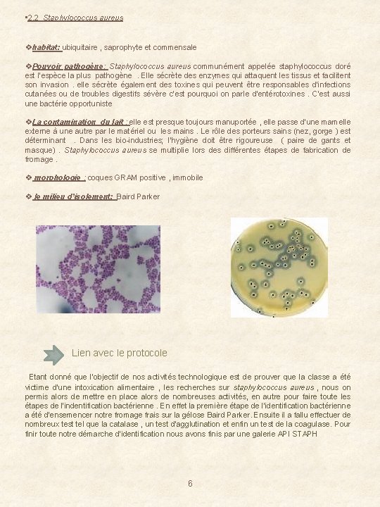  • 2. 2 Staphylococcus aureus vhabitat: ubiquitaire , saprophyte et commensale v. Pouvoir