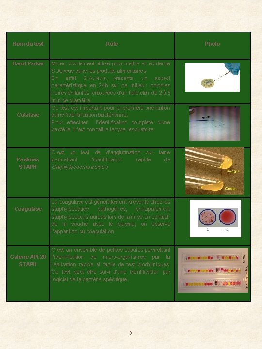 Nom du test Baird Parker Catalase Pastorex STAPH Coagulase Galerie API 20 STAPH Rôle