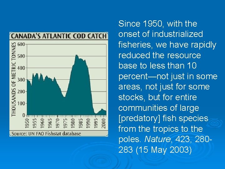 Since 1950, with the onset of industrialized fisheries, we have rapidly reduced the resource