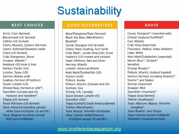 Sustainability www. montereybayaquarium. org 