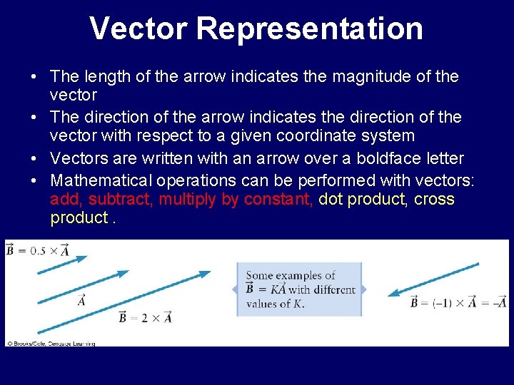 Vector Representation • The length of the arrow indicates the magnitude of the vector