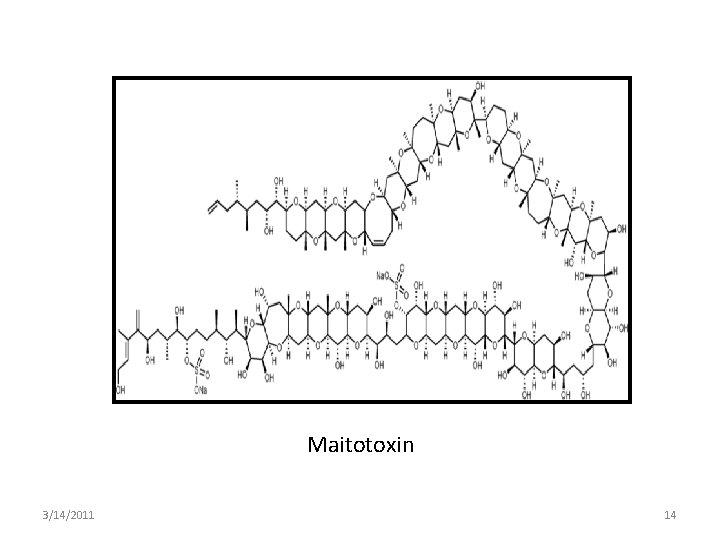 Maitotoxin 3/14/2011 14 