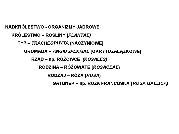 NADKRÓLESTWO - ORGANIZMY JĄDROWE KRÓLESTWO – ROŚLINY (PLANTAE) TYP – TRACHEOPHYTA (NACZYNIOWE) GROMADA –