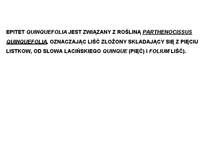 EPITET QUINQUEFOLIA JEST ZWIĄZANY Z ROŚLINĄ PARTHENOCISSUS QUINQUEFOLIA, OZNACZAJĄC LIŚĆ ZŁOŻONY SKŁADAJĄCY SIĘ Z EPITET QUINQUEFOLIA JEST ZWIĄZANY Z ROŚLINĄ PARTHENOCISSUS QUINQUEFOLIA, OZNACZAJĄC LIŚĆ ZŁOŻONY SKŁADAJĄCY SIĘ Z