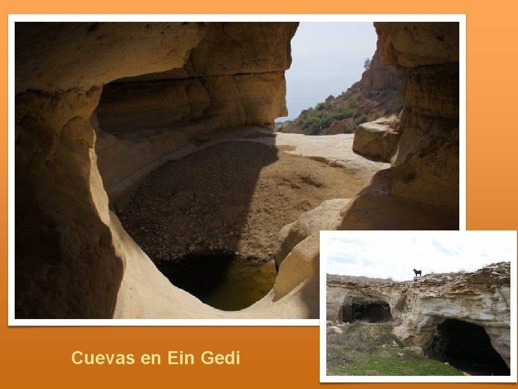 Cuevas en Ein Gedi 