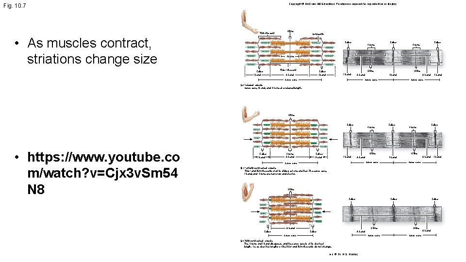 Copyright © Mc. Graw-Hill Education. Permission required for reproduction or display. Fig. 10. 7