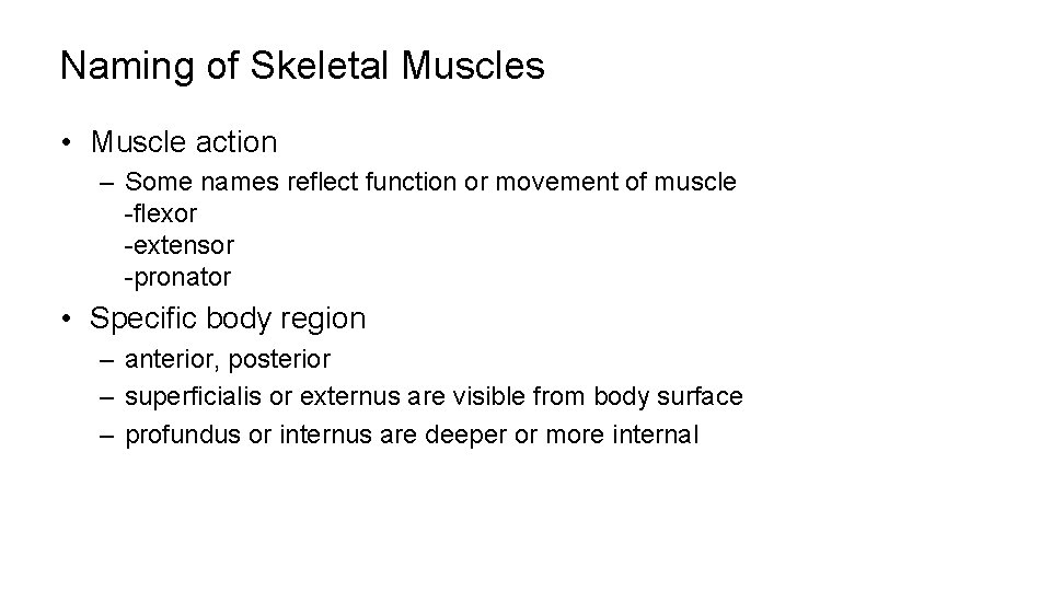 Naming of Skeletal Muscles • Muscle action – Some names reflect function or movement