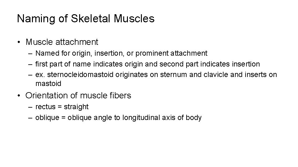 Naming of Skeletal Muscles • Muscle attachment – Named for origin, insertion, or prominent