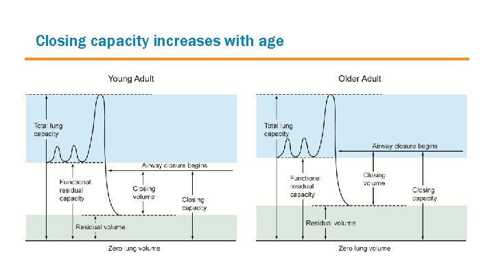 Closing capacity increases with age 