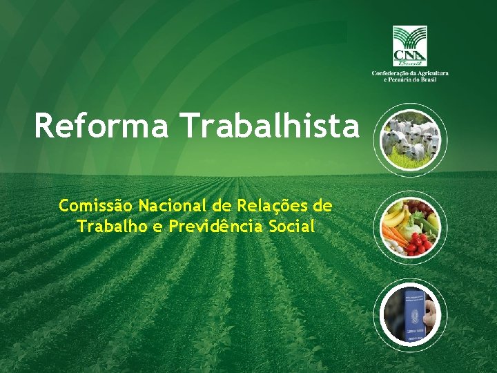Reforma Trabalhista Comissão Nacional de Relações de Trabalho e Previdência Social 