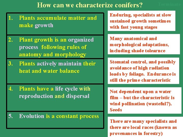 How can we characterize conifers? 1. Plants accumulate matter and make growth 2. Plant How can we characterize conifers? 1. Plants accumulate matter and make growth 2. Plant