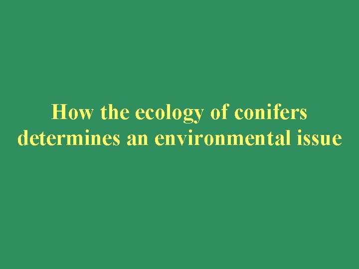 How the ecology of conifers determines an environmental issue How the ecology of conifers determines an environmental issue