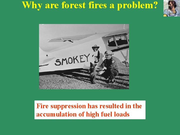 Why are forest fires a problem? Fire suppression has resulted in the accumulation of Why are forest fires a problem? Fire suppression has resulted in the accumulation of