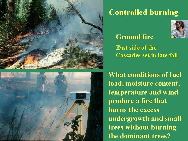 Controlled burning Ground fire East side of the Cascades set in late fall What Controlled burning Ground fire East side of the Cascades set in late fall What