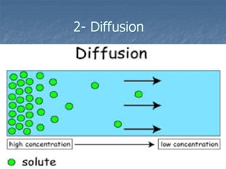 2 - Diffusion 