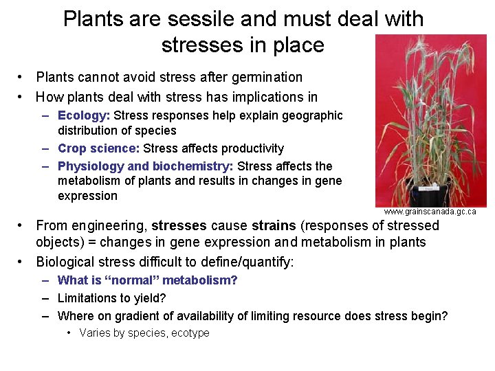 Plants are sessile and must deal with stresses in place • Plants cannot avoid