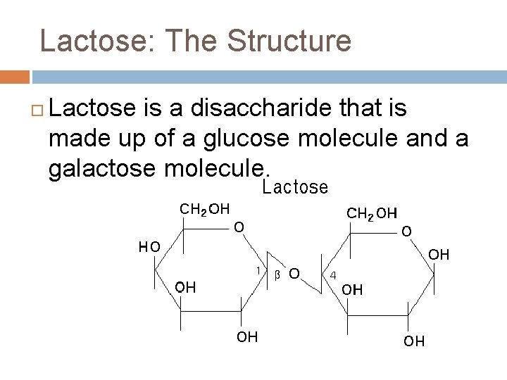 Lactose: The Structure Lactose is a disaccharide that is made up of a glucose