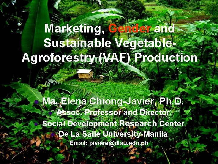 Marketing, Gender and Sustainable Vegetable. Agroforestry (VAF) Production l Ma. Elena Chiong-Javier, Ph. D.