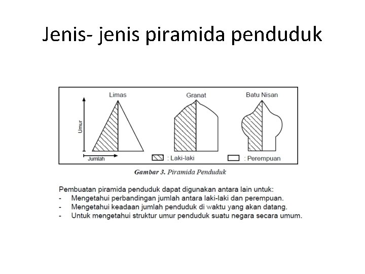 Jenis- jenis piramida penduduk 