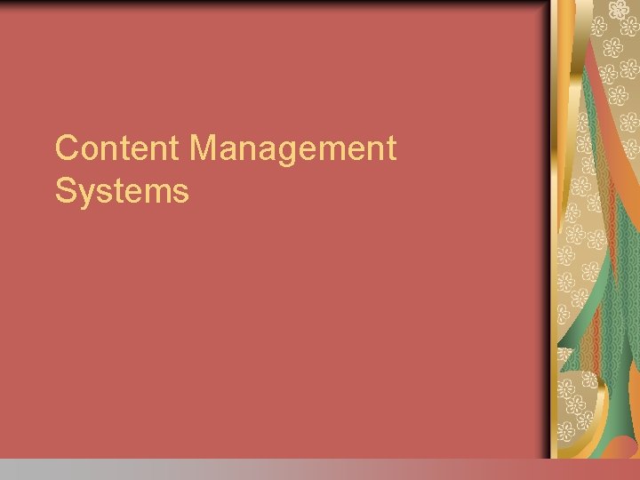 Content Management Systems 