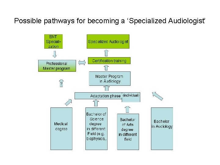 Possible pathways for becoming a ‘Specialized Audiologist’ 
