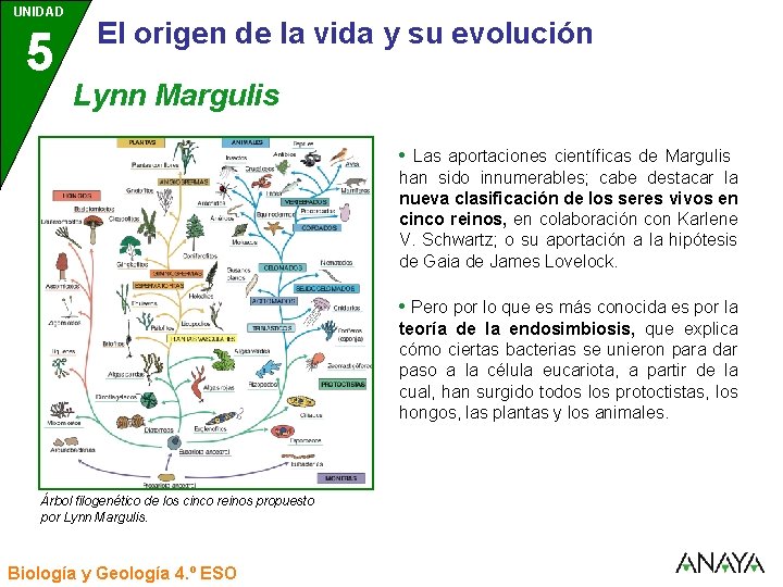UNIDAD 5 3 El origen de la vida y su evolución Lynn Margulis •