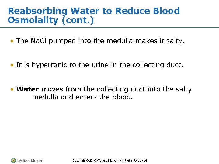 Reabsorbing Water to Reduce Blood Osmolality (cont. ) • The Na. Cl pumped into
