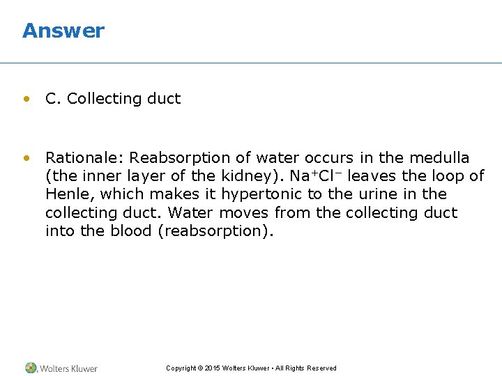 Answer • C. Collecting duct • Rationale: Reabsorption of water occurs in the medulla