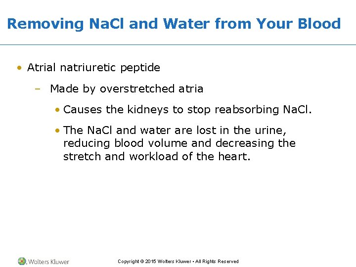Removing Na. Cl and Water from Your Blood • Atrial natriuretic peptide – Made