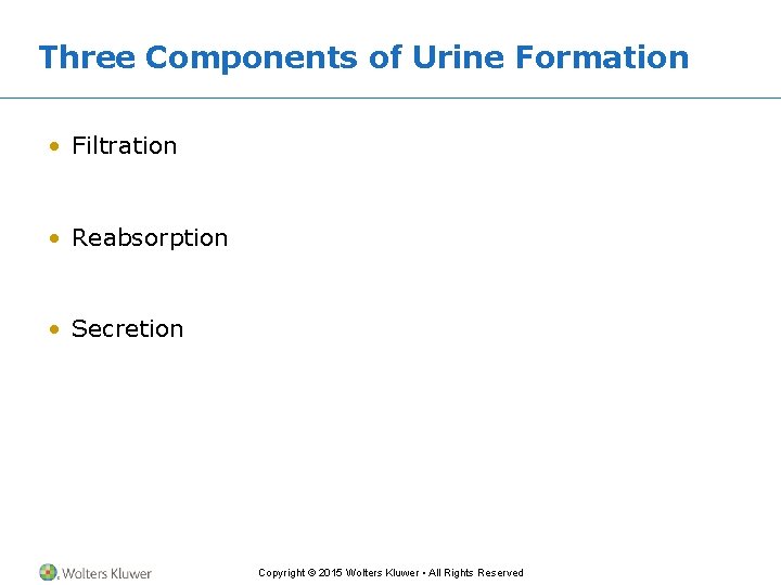 Three Components of Urine Formation • Filtration • Reabsorption • Secretion Copyright © 2015