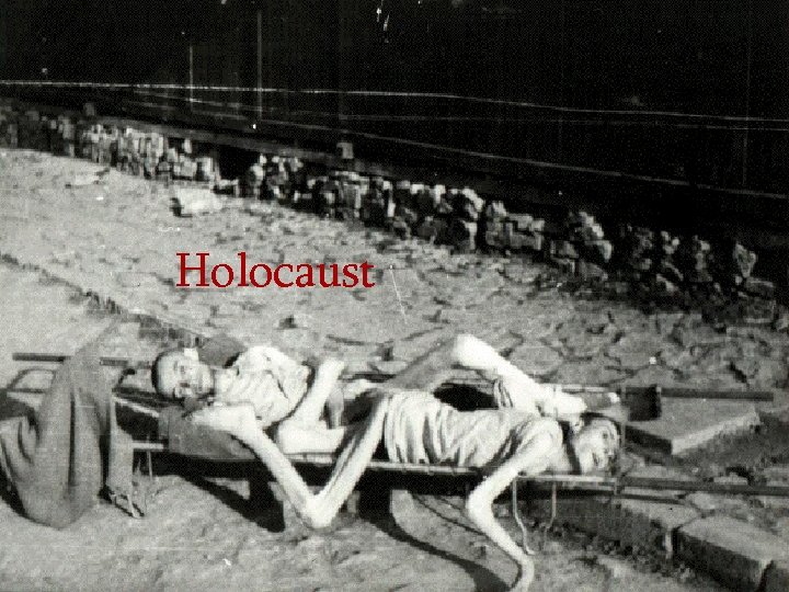 Holocaust 