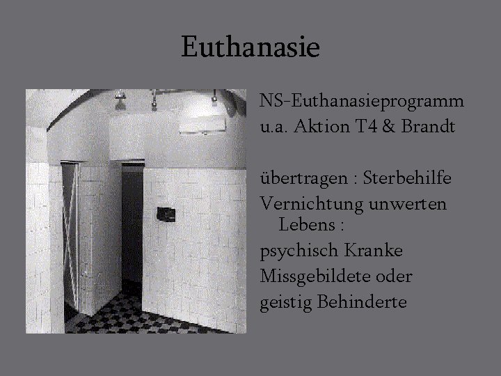 Euthanasie NS-Euthanasieprogramm u. a. Aktion T 4 & Brandt übertragen : Sterbehilfe Vernichtung unwerten