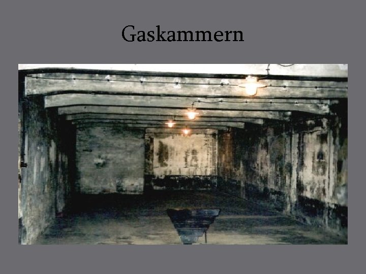 Gaskammern 