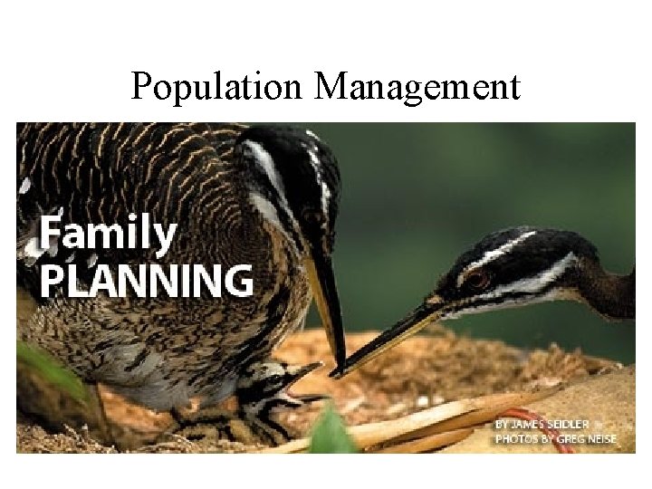 Population Management 
