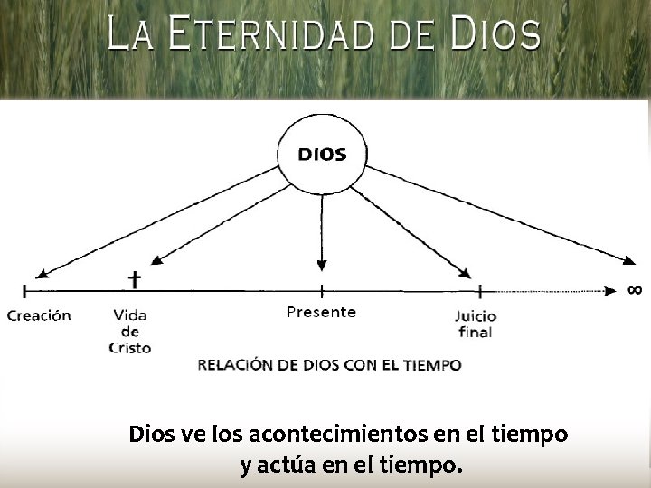 Dios ve los acontecimientos en el tiempo y actúa en el tiempo. 