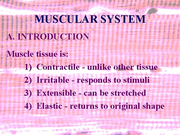 MUSCULAR SYSTEM A. INTRODUCTION Muscle tissue is: 1) Contractile - unlike other tissue 2)