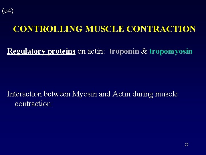 (o 4) CONTROLLING MUSCLE CONTRACTION Regulatory proteins on actin: troponin & tropomyosin Interaction between