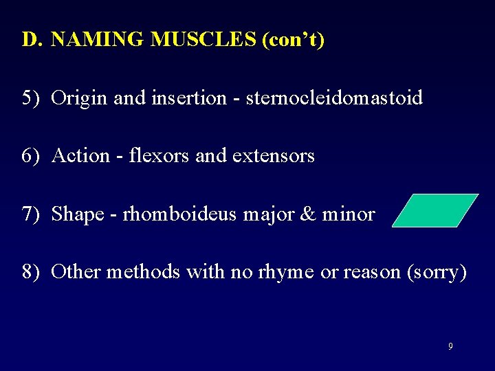 D. NAMING MUSCLES (con’t) 5) Origin and insertion - sternocleidomastoid 6) Action - flexors