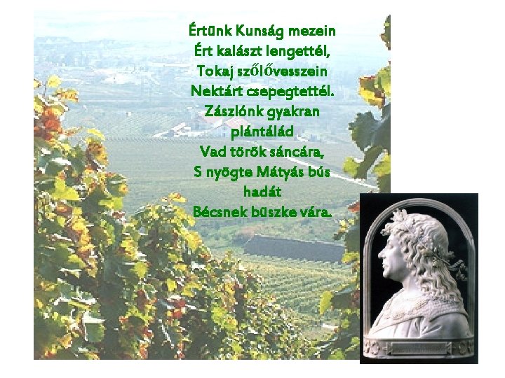 Értünk Kunság mezein Ért kalászt lengettél, Tokaj szőlővesszein Nektárt csepegtettél. Zászlónk gyakran plántálád Vad