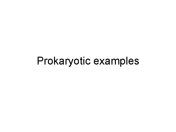 Prokaryotic examples Prokaryotic examples