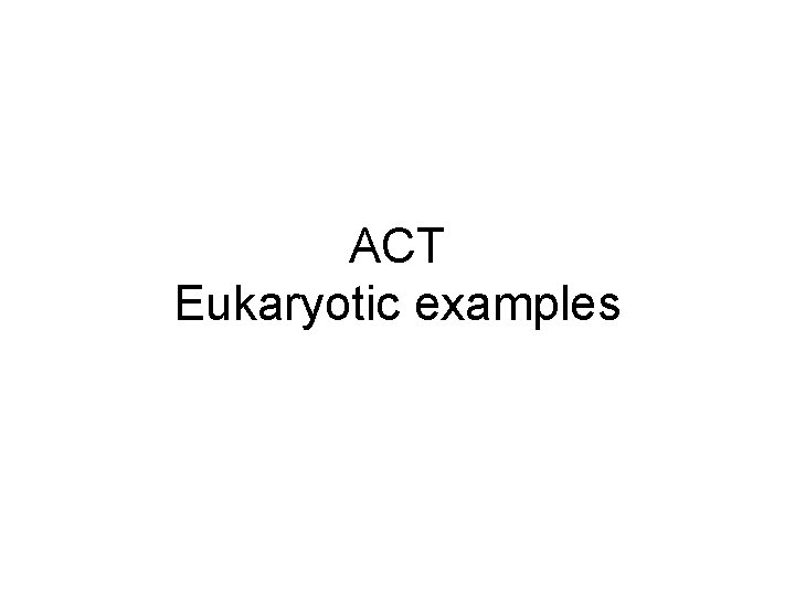 ACT Eukaryotic examples ACT Eukaryotic examples