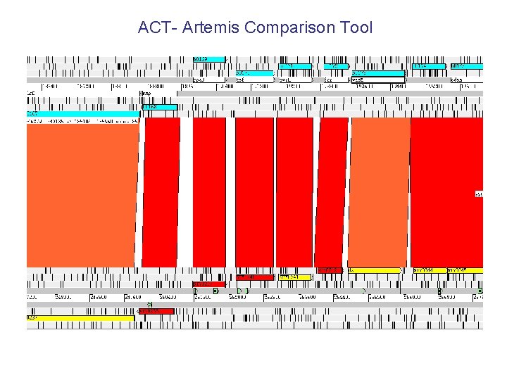 ACT- Artemis Comparison Tool ACT- Artemis Comparison Tool