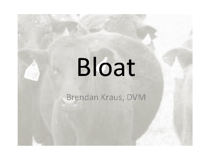 Bloat Brendan Kraus, DVM 