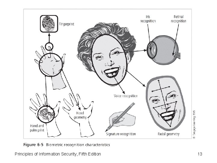 Principles of Information Security, Fifth Edition 13 
