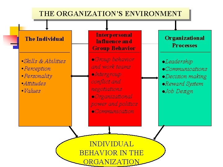 THE ORGANIZATION’S ENVIRONMENT The Individual • Skills & Abilities • Perception • Personality •