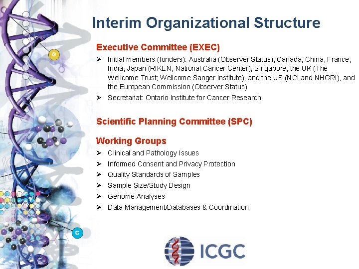 Interim Organizational Structure Executive Committee (EXEC) Ø Initial members (funders): Australia (Observer Status), Canada,