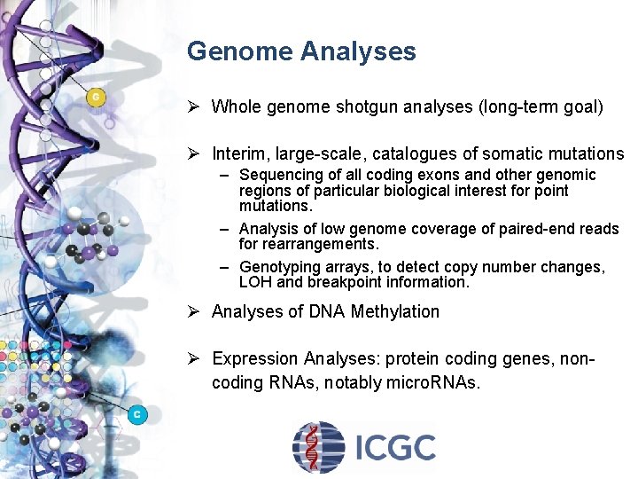 Genome Analyses Ø Whole genome shotgun analyses (long-term goal) Ø Interim, large-scale, catalogues of