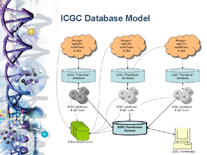 ICGC Database Model 