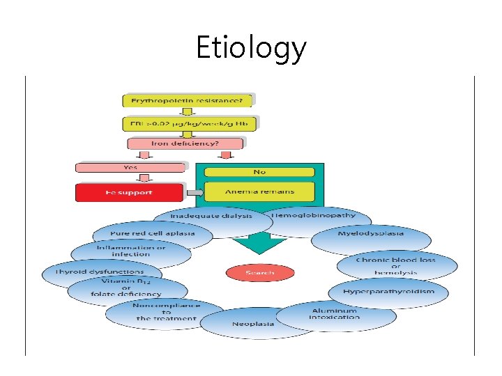Etiology 