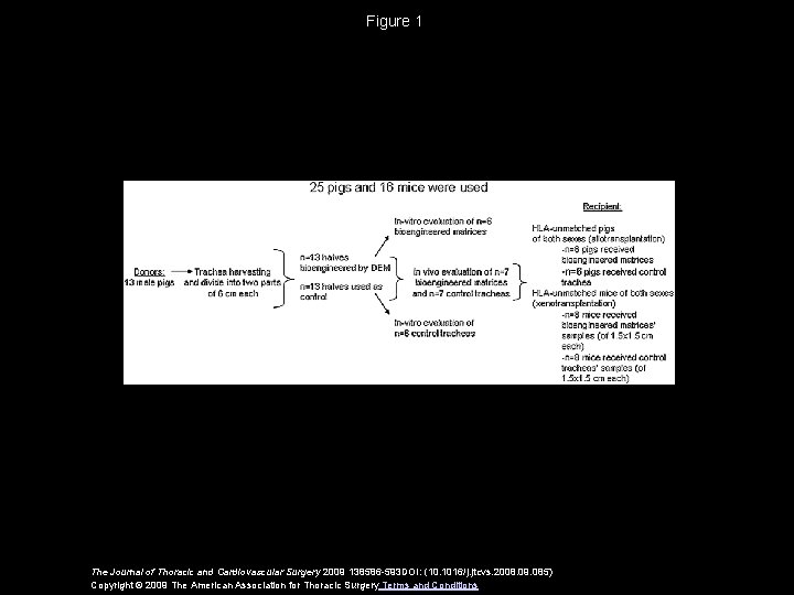 Figure 1 The Journal of Thoracic and Cardiovascular Surgery 2009 138586 -593 DOI: (10.